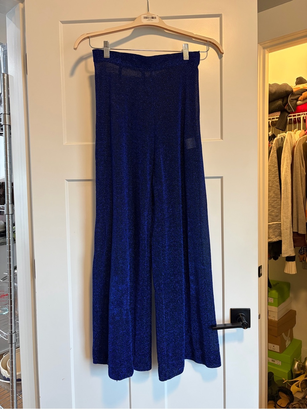 Rachel Comey Sparkly Wide-Leg Pants in Deep Blue